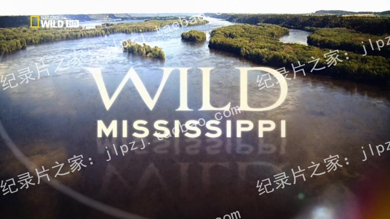 ҵ¼Ƭ Ұ Wild Mississippi