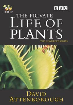 [BBC]植物私生活